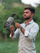 টেম কবুতর বিক্রি